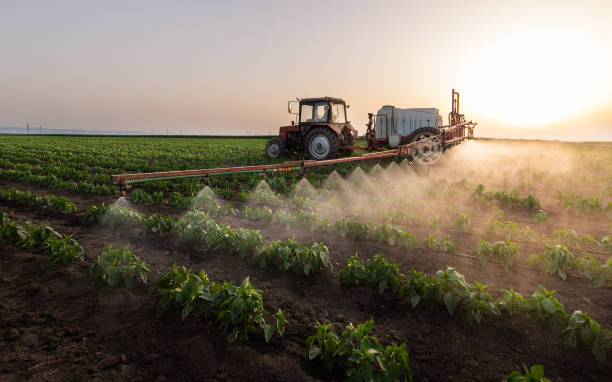 Best Pest Inspection Near Me  in Pirtleville, AZ