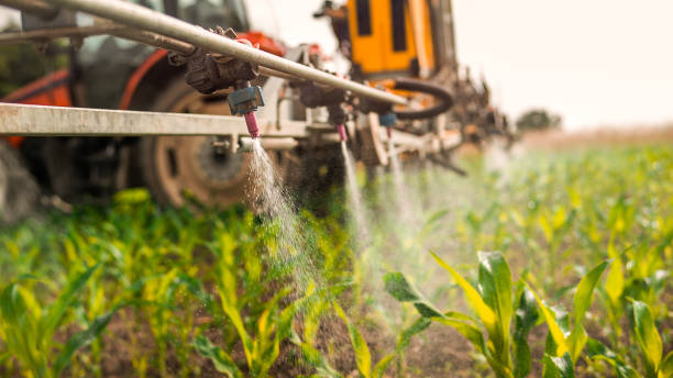 Pest Control Cost in Pirtleville, AZ